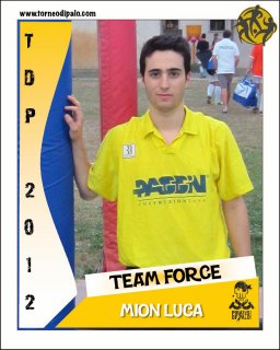 TEAM FORCE